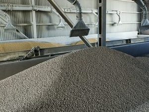 Feed Processing