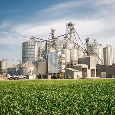DuMond Grain
