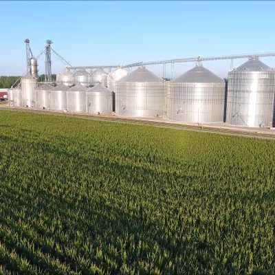 Howlett Grain Avon