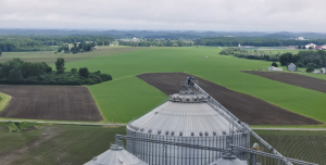 Growing Plenish® High Oleic Soybeans at DuMond Farms